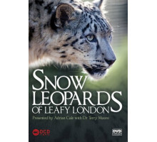 Снежный барс в зеленом Лондоне