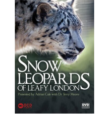 Снежный барс в зеленом Лондоне