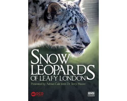 Снежный барс в зеленом Лондоне смотреть онлайн