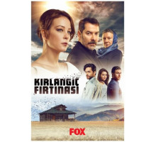 Шторм ласточки