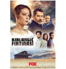 Шторм ласточки