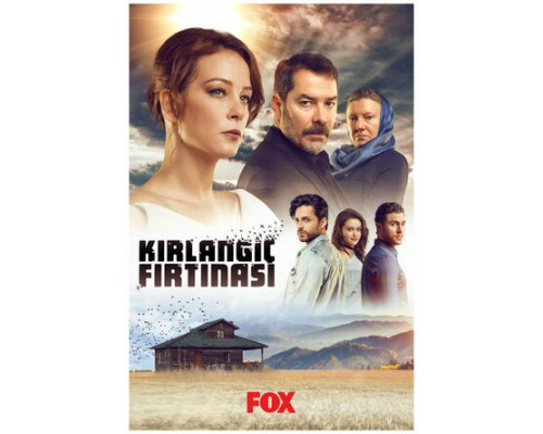 Шторм ласточки смотреть онлайн