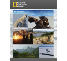 Дикая природа России