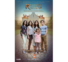 Птицы без крыльев