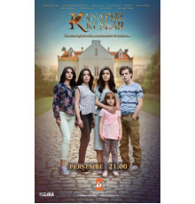 Птицы без крыльев