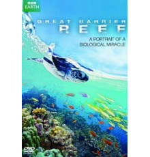 Большой барьерный риф