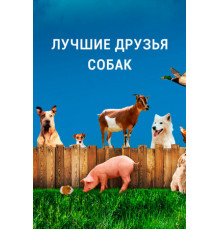 Лучшие друзья собак